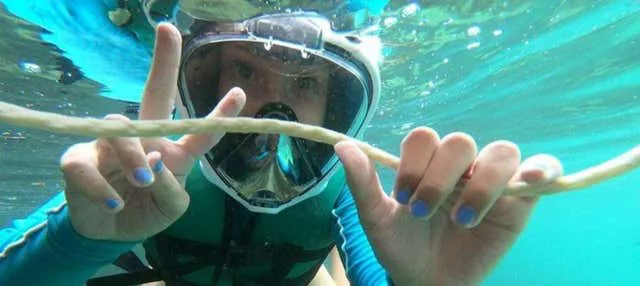 Snorkel na praia da Sepultura, Bombinhas