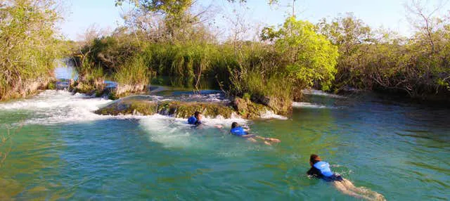 Mergulho de flutuação no rio Formoso, Bonito